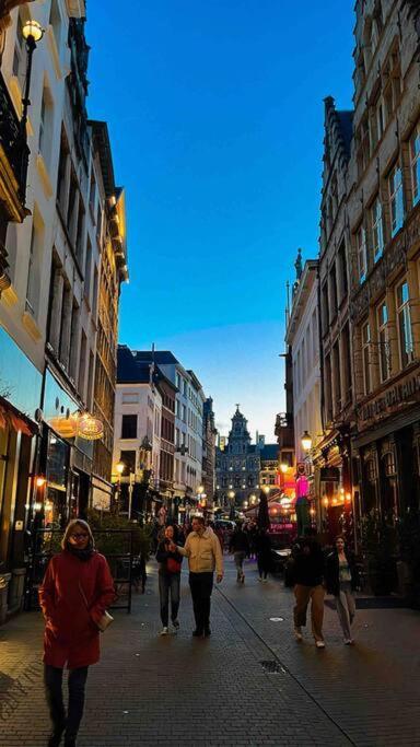 Cozy Antwerp - Cityview Studio Free Parking מראה חיצוני תמונה